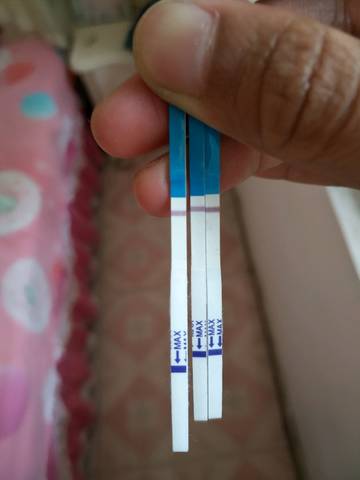 journal_insert_pic_1044173462