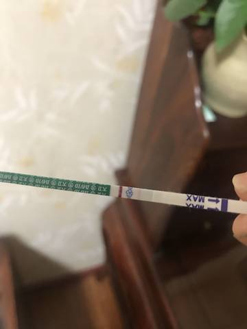 journal_insert_pic_1043805154