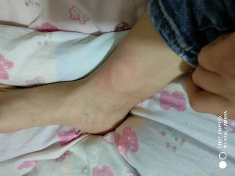 journal_insert_pic_1044720375
