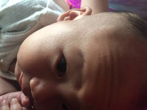 journal_insert_pic_1044891267