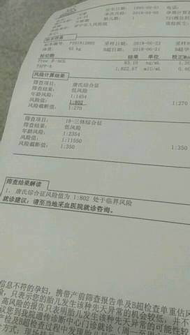 journal_insert_pic_1045350297