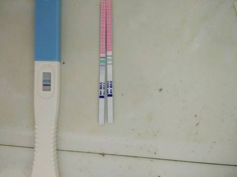 journal_insert_pic_1045096709