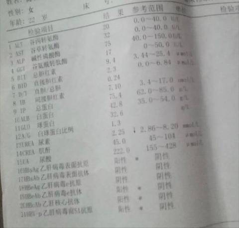 journal_insert_pic_1045429167