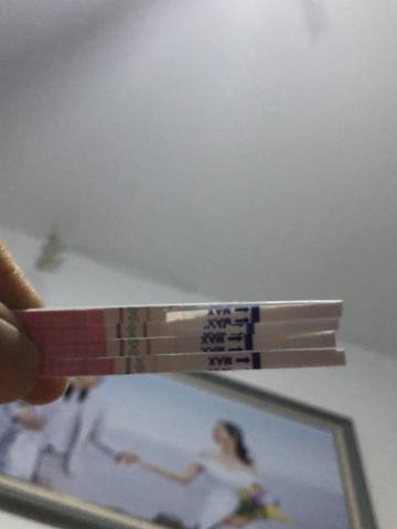journal_insert_pic_1045889124