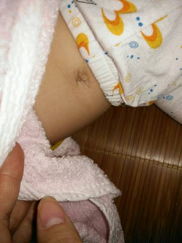 journal_insert_pic_1047584926