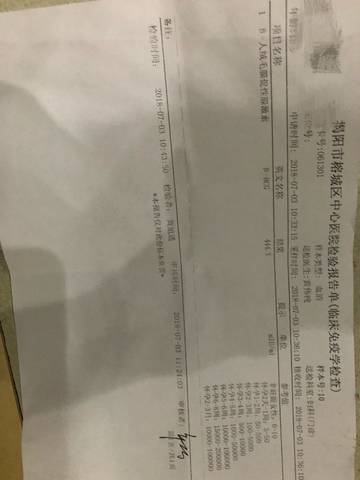 journal_insert_pic_1047410595