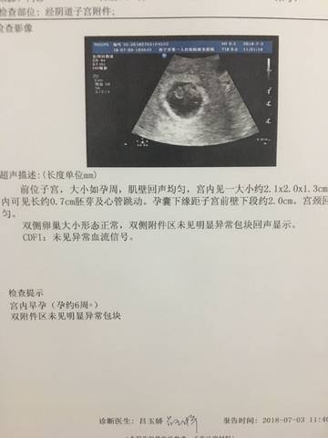 journal_insert_pic_1047449217