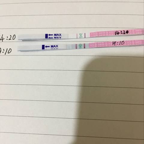 journal_insert_pic_1048056010