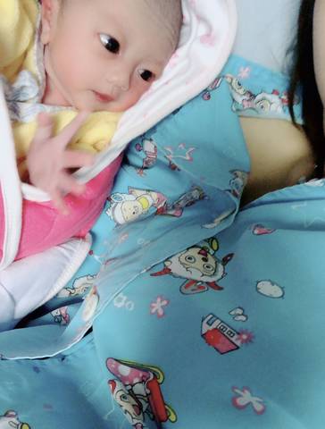 journal_insert_pic_1048303310