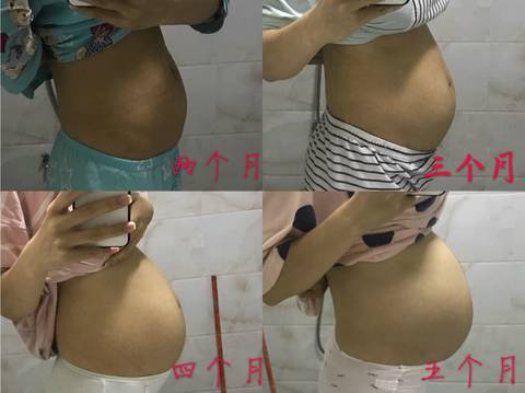 journal_insert_pic_1049104701