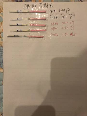 journal_insert_pic_1048874246
