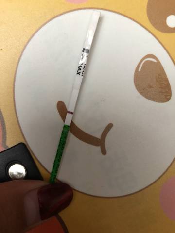 journal_insert_pic_1049294469