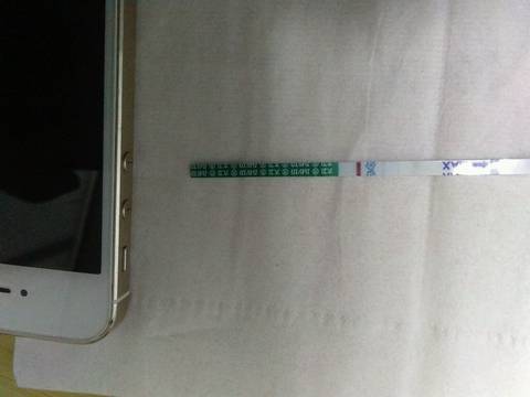 journal_insert_pic_1049687039