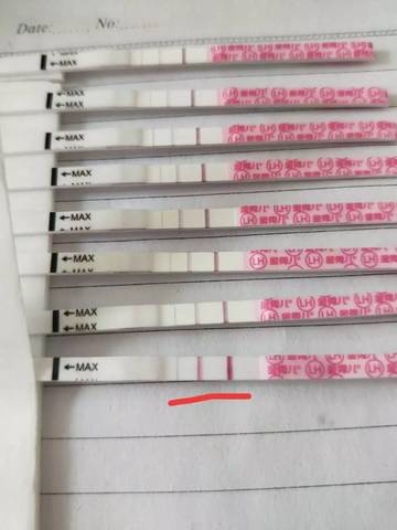 journal_insert_pic_1050071324