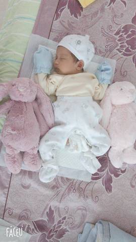journal_insert_pic_1049659476