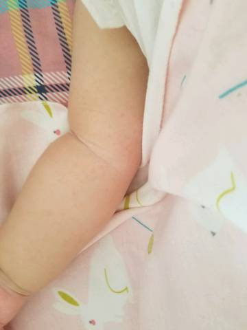 journal_insert_pic_1049610154