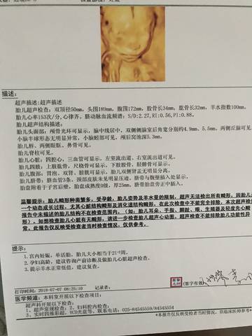 journal_insert_pic_1049626181