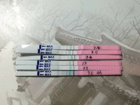 journal_insert_pic_1050706403