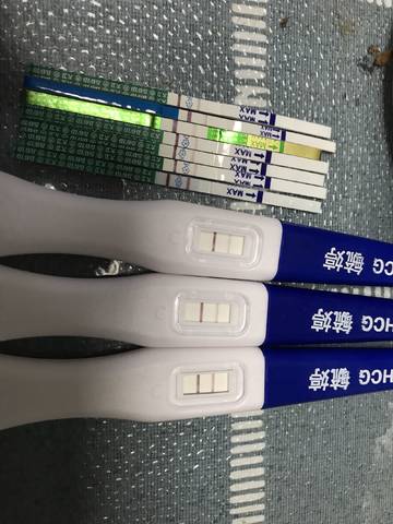 journal_insert_pic_1050240104
