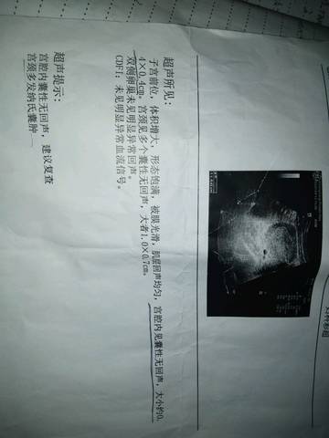 journal_insert_pic_1051362170