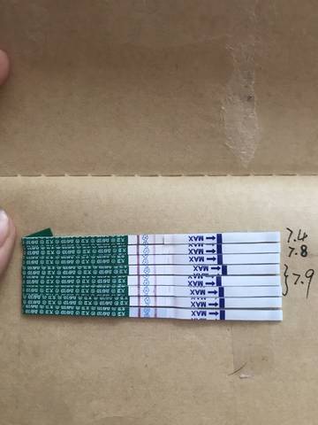 journal_insert_pic_1051740116