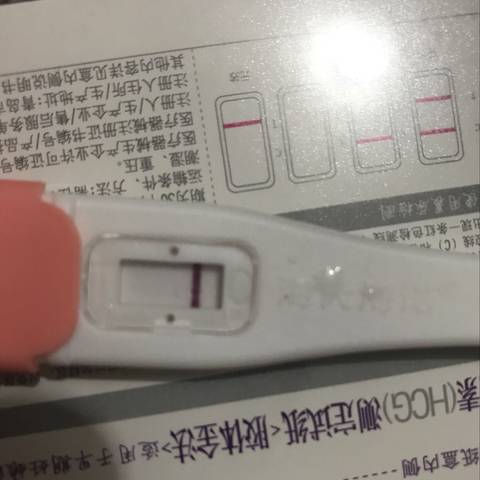 journal_insert_pic_1052592283