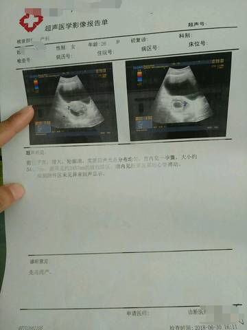 journal_insert_pic_1052216772