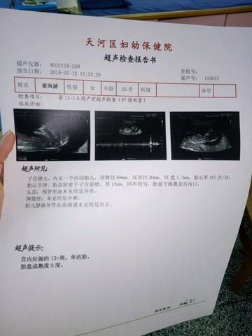journal_insert_pic_1053032730