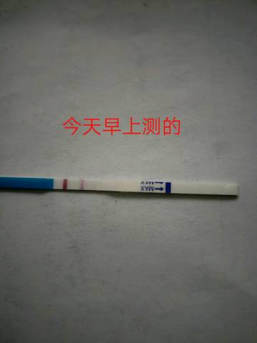 journal_insert_pic_1053420370