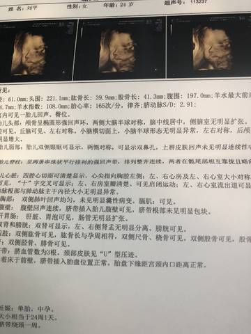 journal_insert_pic_1053683801