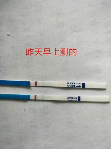 journal_insert_pic_1053420358