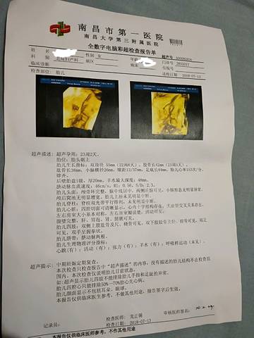 journal_insert_pic_1054136927