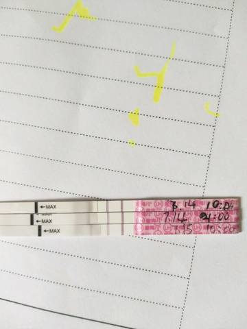 journal_insert_pic_1054848667
