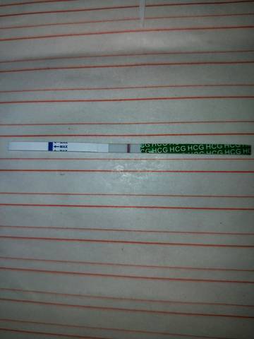 journal_insert_pic_1055316975