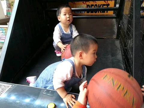 journal_insert_pic_1055455746