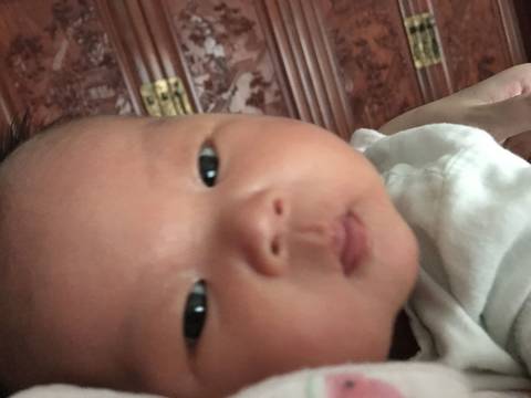 journal_insert_pic_1055483417