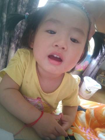journal_insert_pic_1055321461