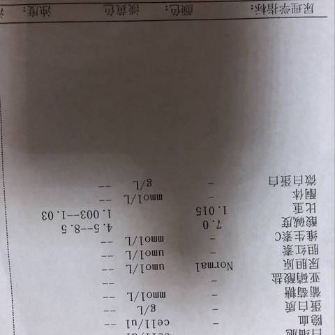 journal_insert_pic_1056421008