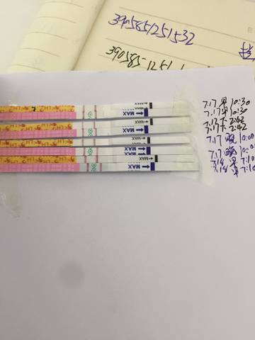 journal_insert_pic_1056673912