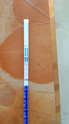 journal_insert_pic_1056954130
