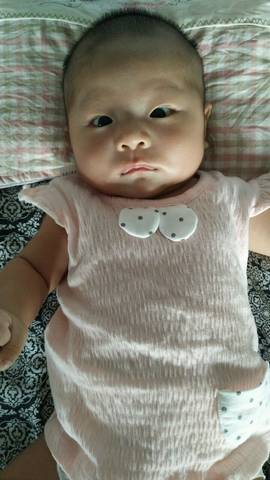 journal_insert_pic_1057561594