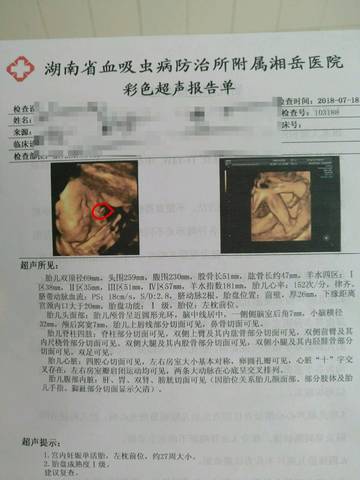 journal_insert_pic_1057401050