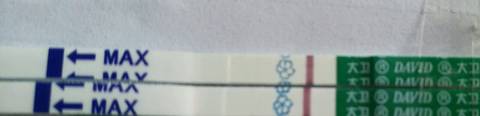 journal_insert_pic_1057400453