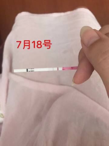 journal_insert_pic_1058302396