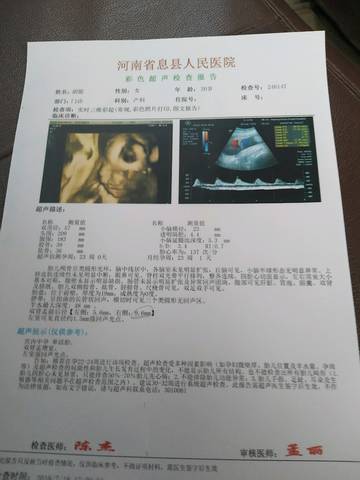 journal_insert_pic_1057969930