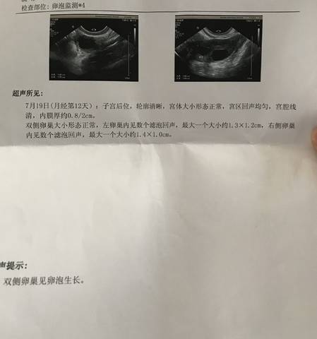 journal_insert_pic_1058249203