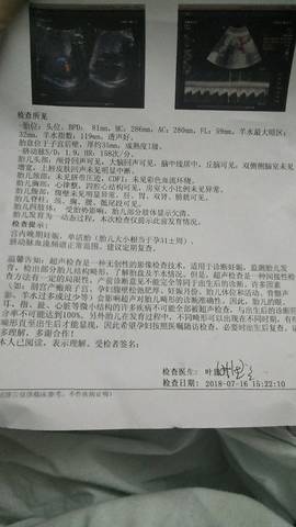 journal_insert_pic_1058537749