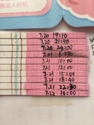 journal_insert_pic_1059729913