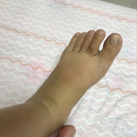 journal_insert_pic_1060729334