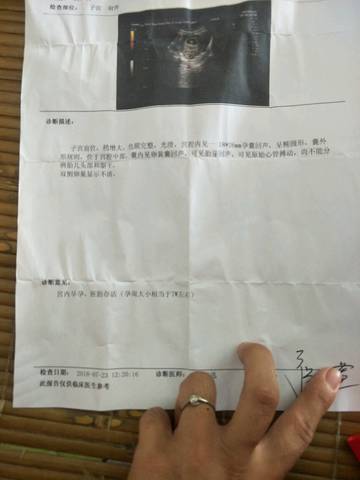 journal_insert_pic_1061152222